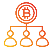 Consortium Blockchains